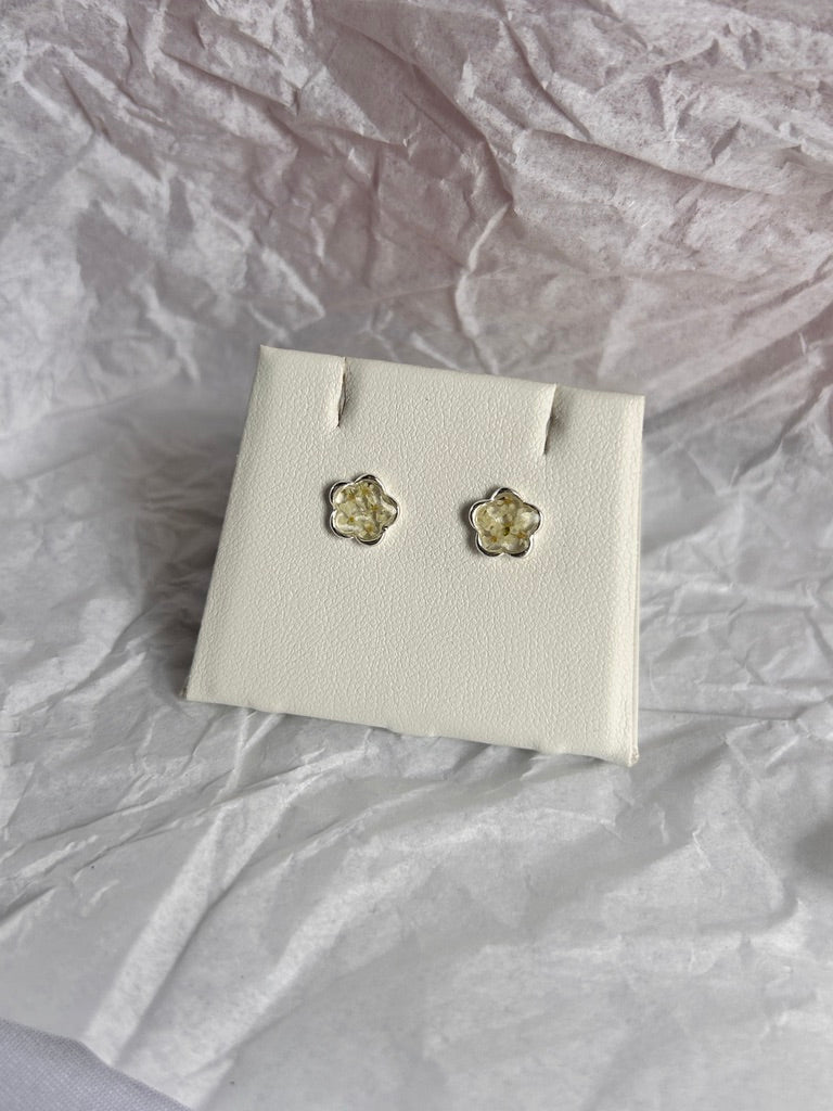 Cow Parsley Flower Stud Earrings