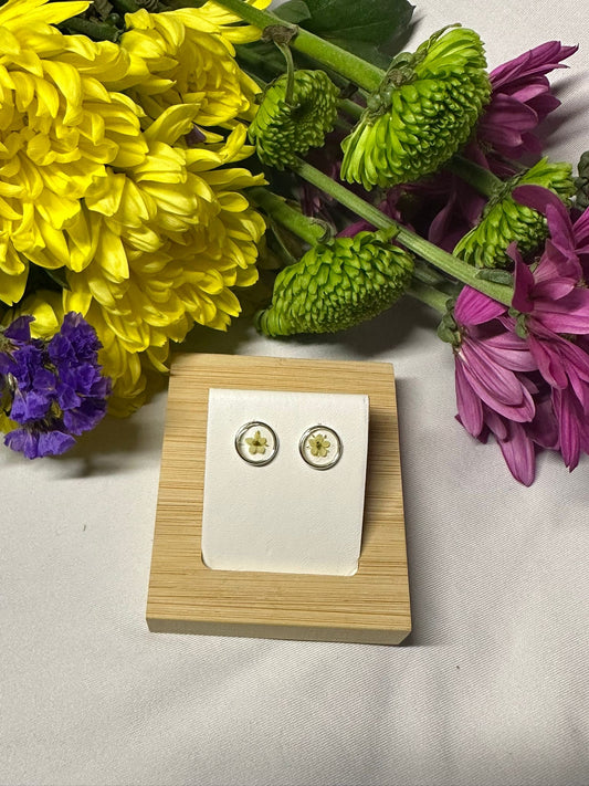 Elderflower Blossom Circle Studs