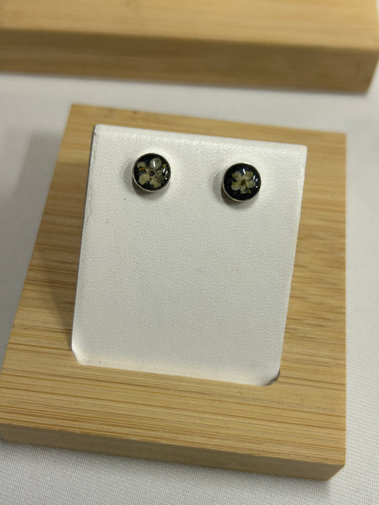 Elderflower Circle Studs